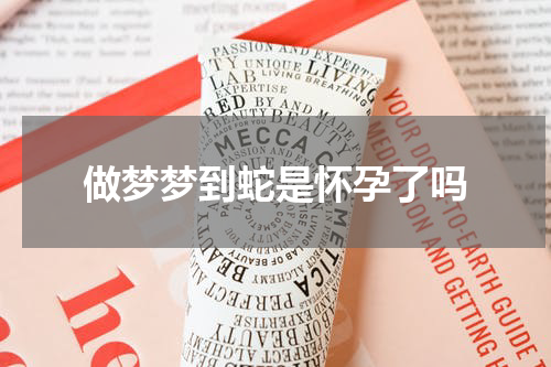 做梦梦到蛇是怀孕了吗