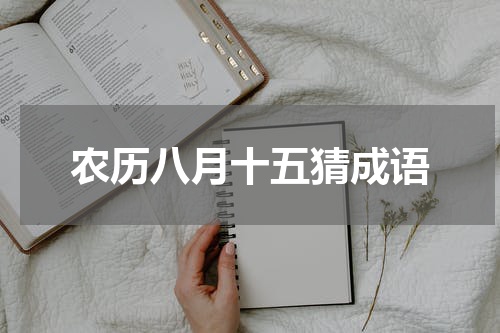 农历八月十五猜成语