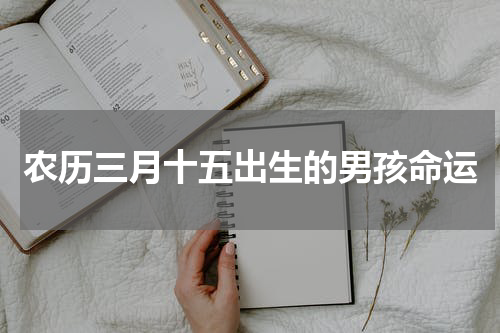 农历三月十五出生的男孩命运