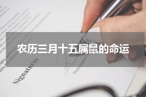 农历三月十五属鼠的命运