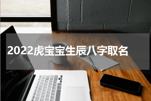 2022虎宝宝生辰八字取名