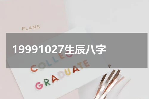 19991027生辰八字