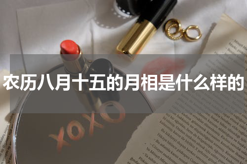 农历八月十五的月相是什么样的