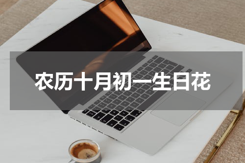 农历十月初一生日花