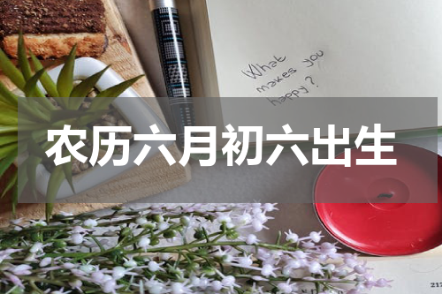 农历六月初六出生