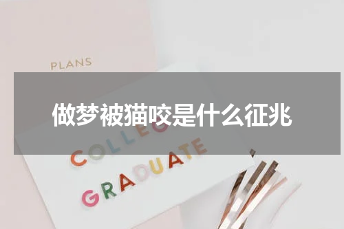 做梦被猫咬是什么征兆