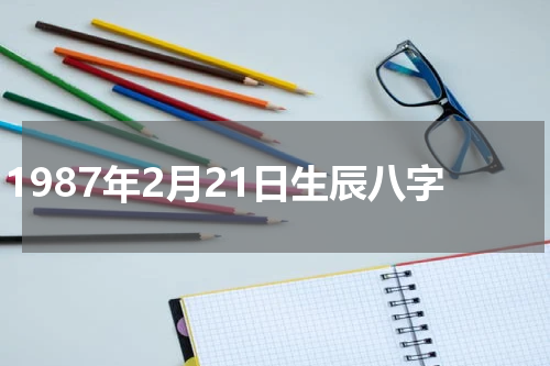 1987年2月21日生辰八字