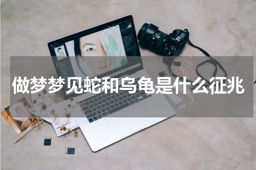 做梦梦见蛇和乌龟是什么征兆