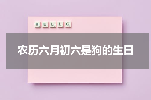 农历六月初六是狗的生日