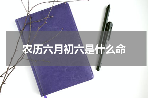 农历六月初六是什么命