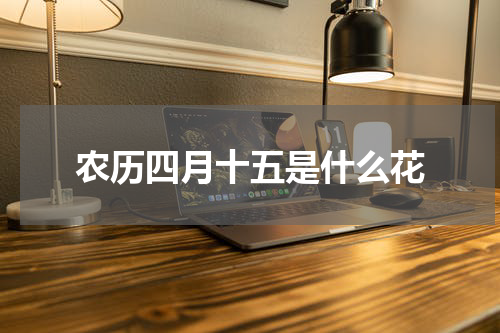 农历四月十五是什么花