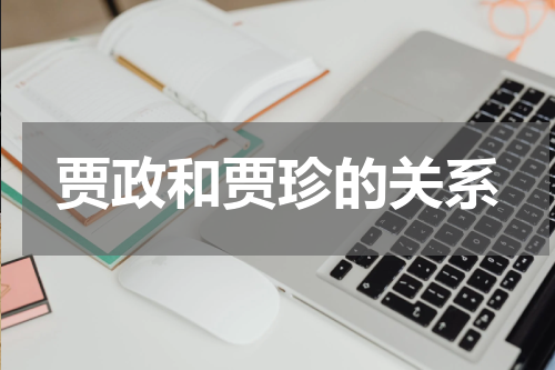贾政和贾珍的关系