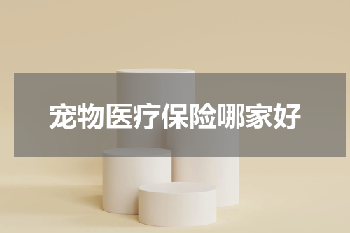 宠物医疗保险哪家好