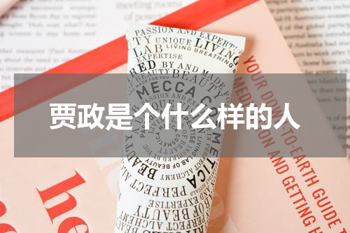 贾政是个什么样的人