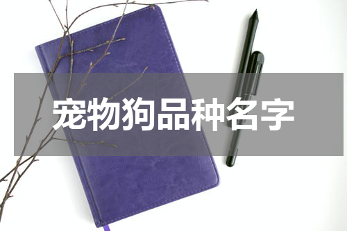 宠物狗品种名字