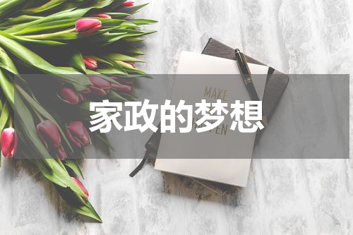 家政的梦想