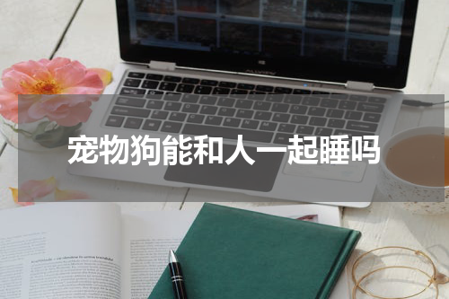 宠物狗能和人一起睡吗