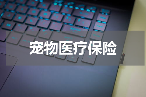 宠物医疗保险