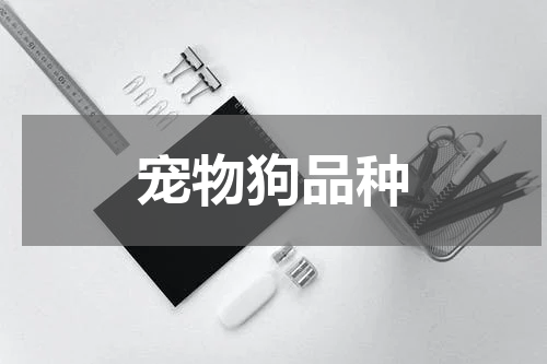 宠物狗品种