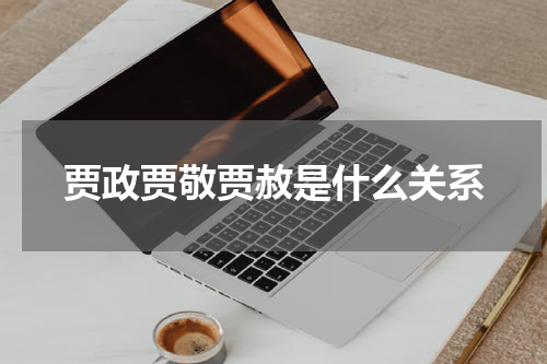 贾政贾敬贾赦是什么关系