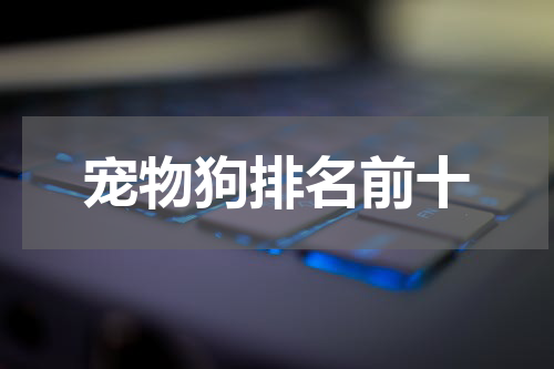 宠物狗排名前十
