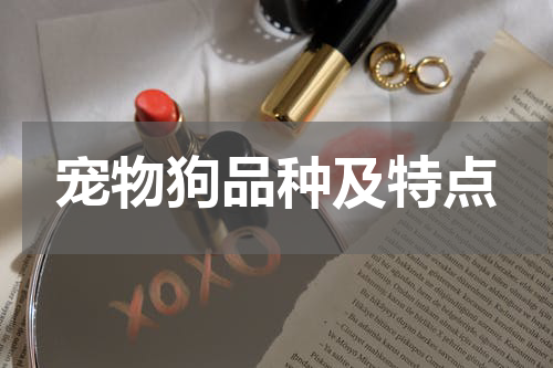 宠物狗品种及特点