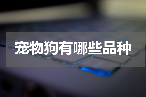 宠物狗有哪些品种