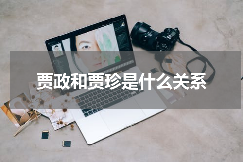 贾政和贾珍是什么关系