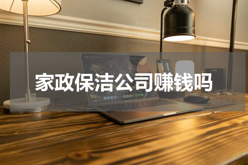 家政保洁公司赚钱吗