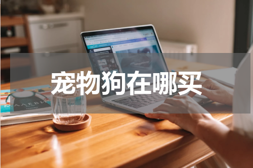 宠物狗在哪买