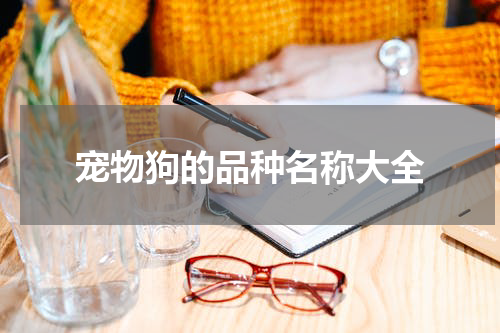 宠物狗的品种名称大全
