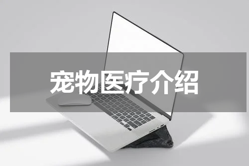 宠物医疗介绍