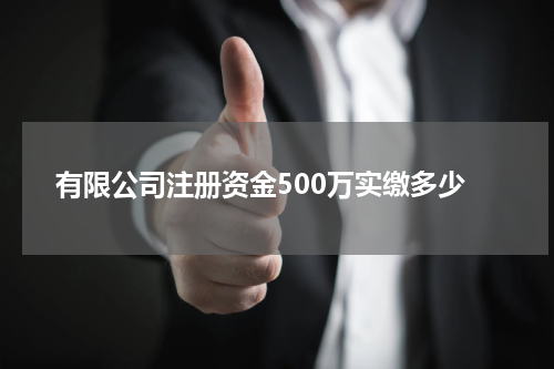 有限公司注册资金500万实缴多少