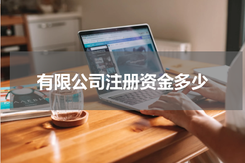 有限公司注册资金多少