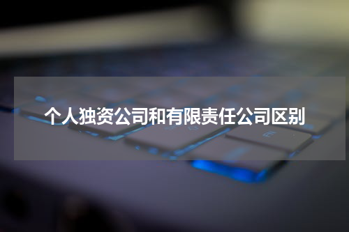 个人独资公司和有限责任公司区别