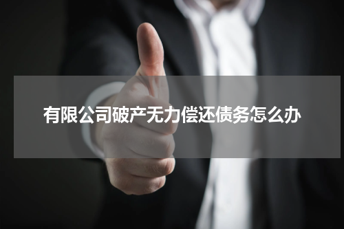 有限公司破产无力偿还债务怎么办