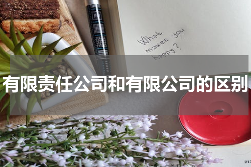 有限责任公司和有限公司的区别