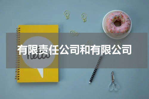 有限责任公司和有限公司