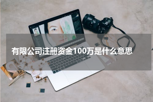 有限公司注册资金100万是什么意思
