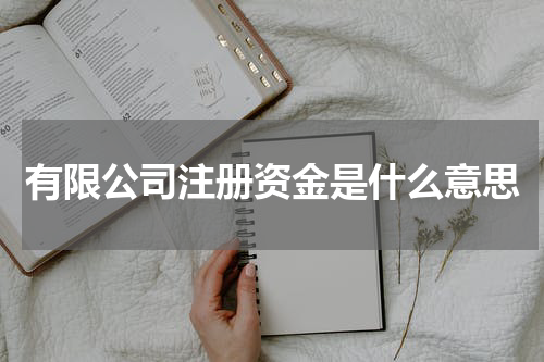 有限公司注册资金是什么意思