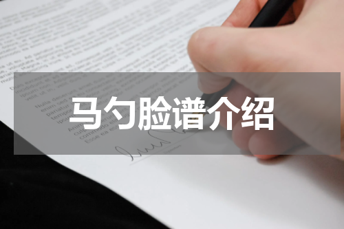 马勺脸谱介绍