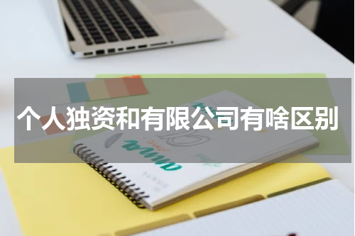 个人独资和有限公司有啥区别