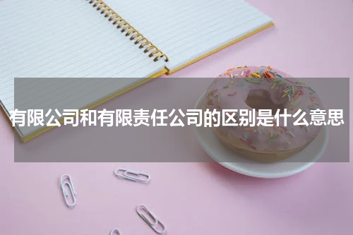 有限公司和有限责任公司的区别是什么意思