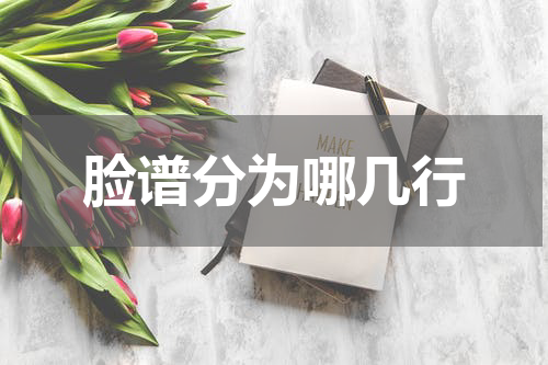 脸谱分为哪几行