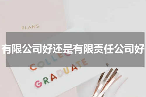 有限公司好还是有限责任公司好
