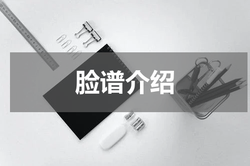 脸谱介绍