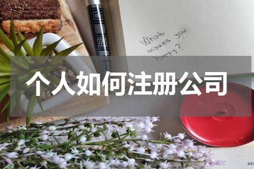 个人如何注册公司