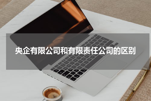 央企有限公司和有限责任公司的区别