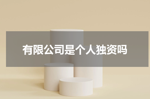 有限公司是个人独资吗
