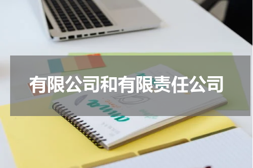 有限公司和有限责任公司